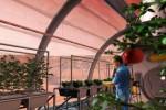 NASA wants to grow turnips, flowers and more on the moon by 2015