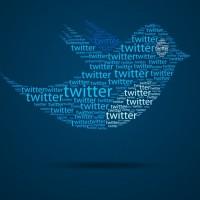 Twitter posts solid 2013 though new users stall