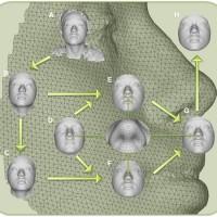 New tech creates 3D models of faces using DNA