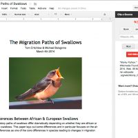 Google add-ons boost Docs and Sheets in new Word strike