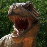 Tiny fluffy T-Rex roamed the Arctic