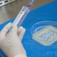 Tissue engineering: Scientist grow body parts to implant in patients