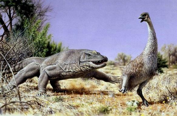 Ancient humans ate giant Aussie birds' eggs into extinction