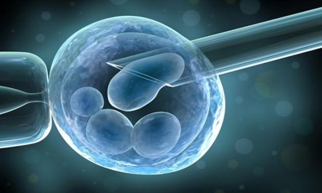 UK researchers get permission to genetically modify human embryos