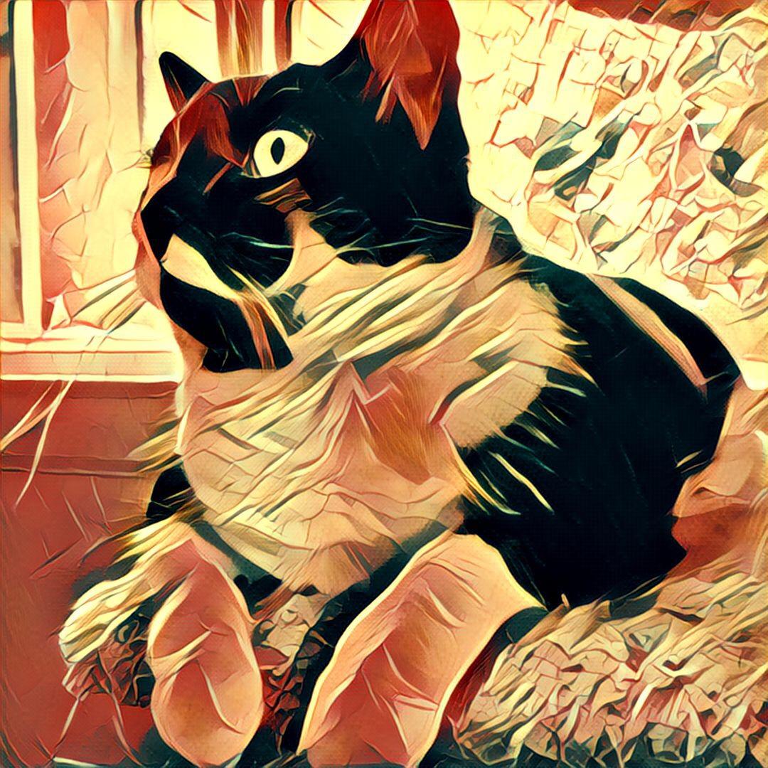 prisma app developer prisma app developer
