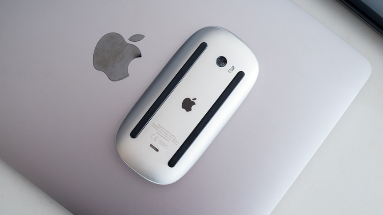 Apple Magic Mouse on MacBook