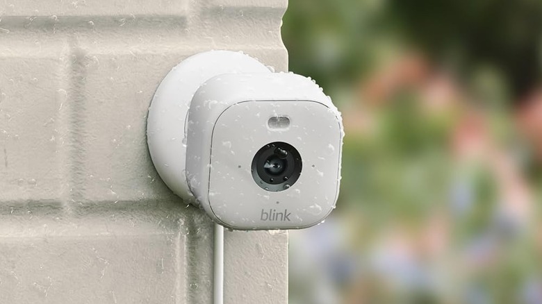 Blink Mini 2 mounted on a wall