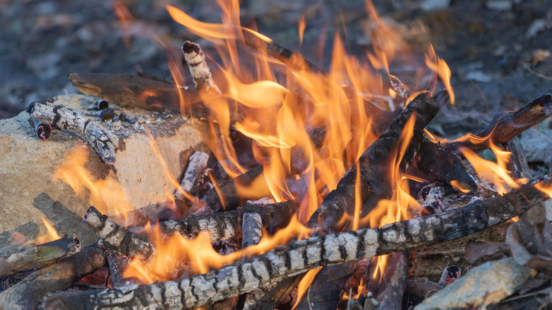 campfire