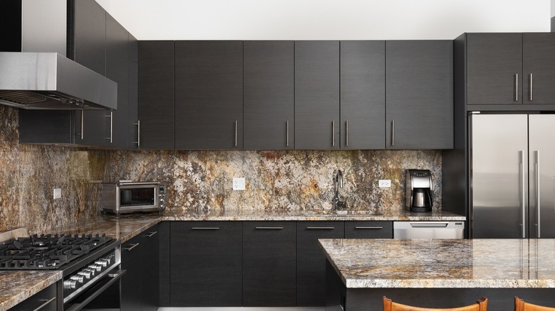 A contemporary kitchen with Fisher & Paykel professional gas range and a stainless steel French door refrigerator.