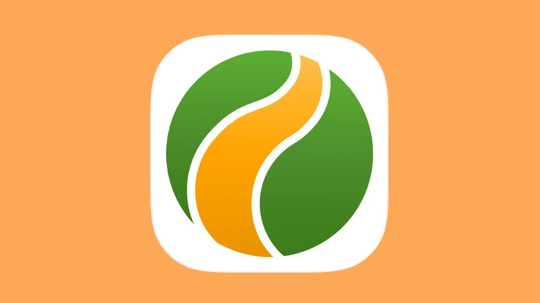 The Wikiloc app logo.