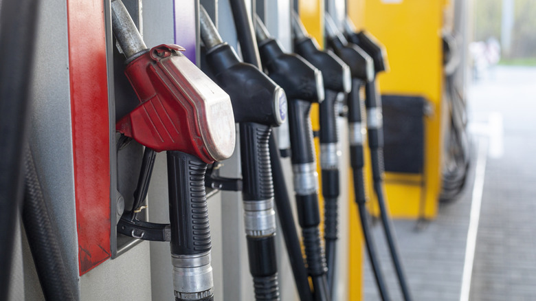 A line of gas nozzles holstered against their pumps.