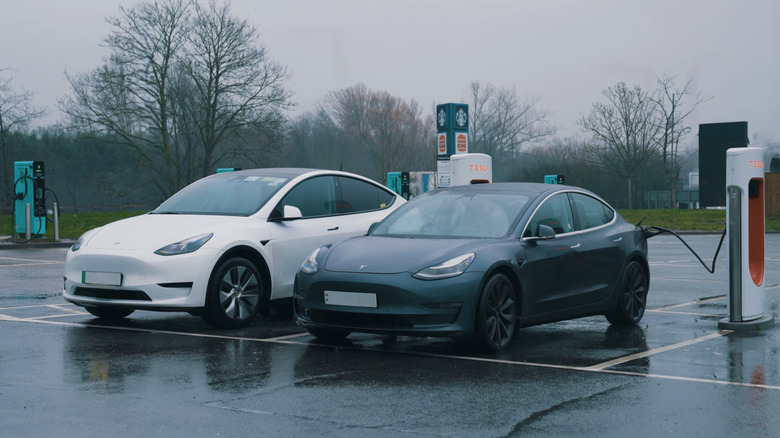 Two Teslas parked side by side, one is charging.