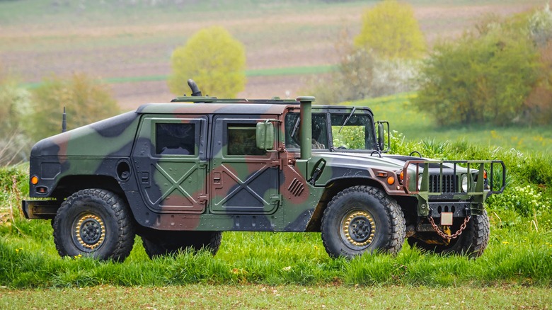 Humvee LUV in the grass