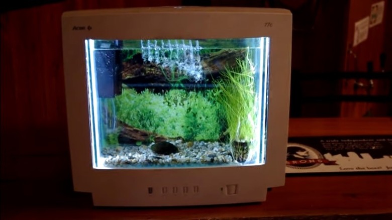 CRT fish tank