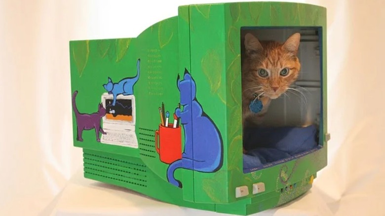 CRT cat bed