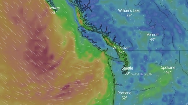 Screenshot of the Windy app