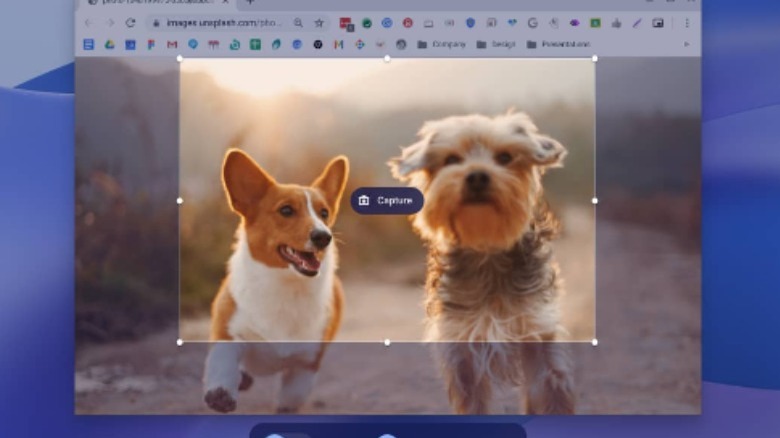 Chromebook Screenshot tool