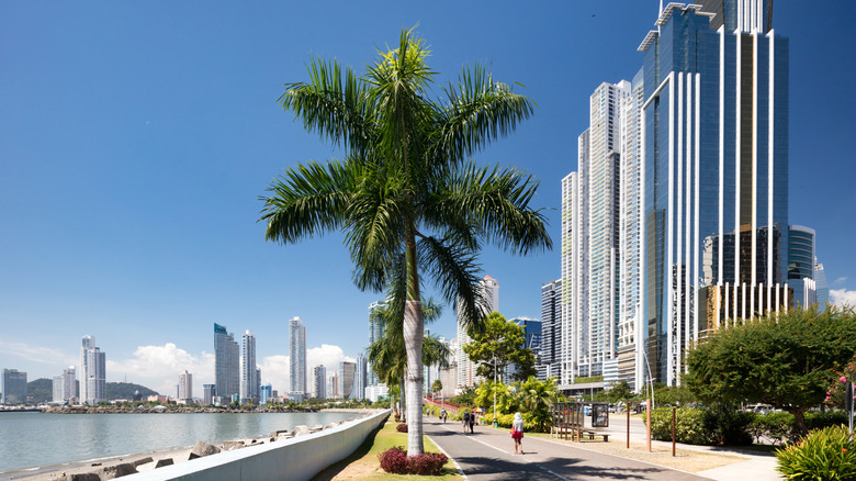 Palm trees and skyscrapes along Avenida Balboa in Panama City