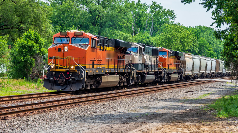 A freight train passing through a line of trees