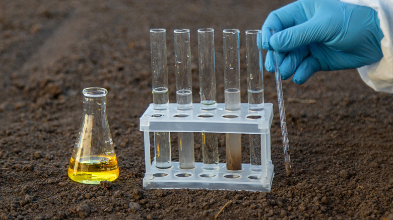 A scientist doing soil analysis in a test tube.