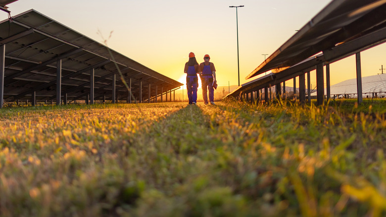 Two coworkers walking by solar panels.