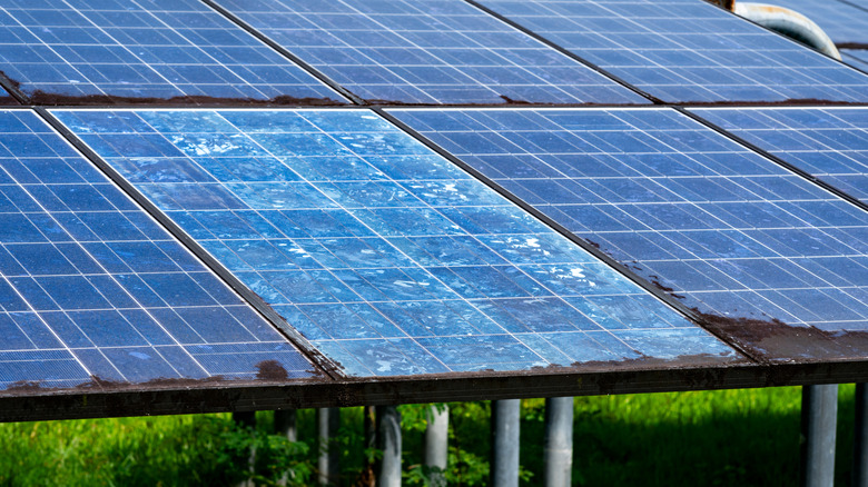 Weathered solar panels with faded blue cells and surface degradation.