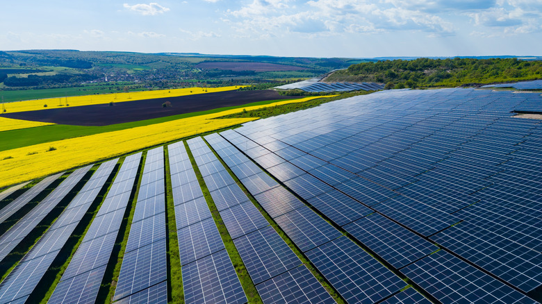 Solar panels arranged in rows on a large field.