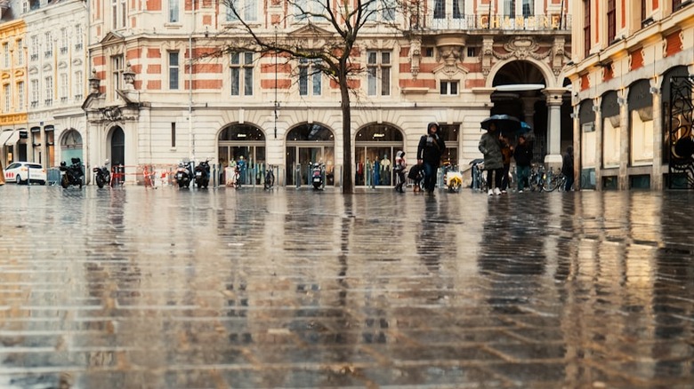 Rainy day in Lille, France, with reflections on the wet cobblestones, people walking under umbrellas and Flemish architecture in the background.