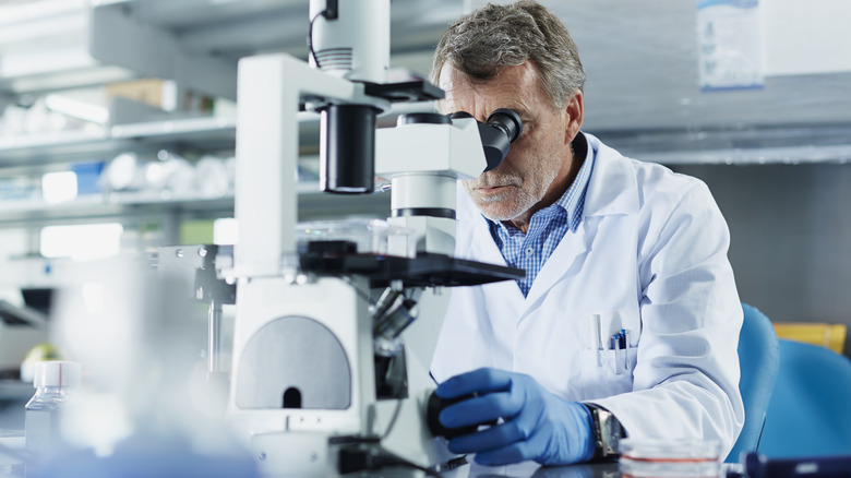 Scientist looks through microscope
