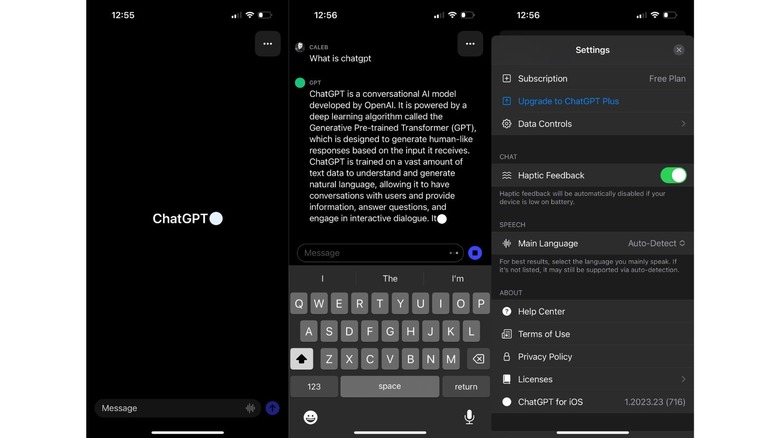 ChatGPT screenshots on iOS