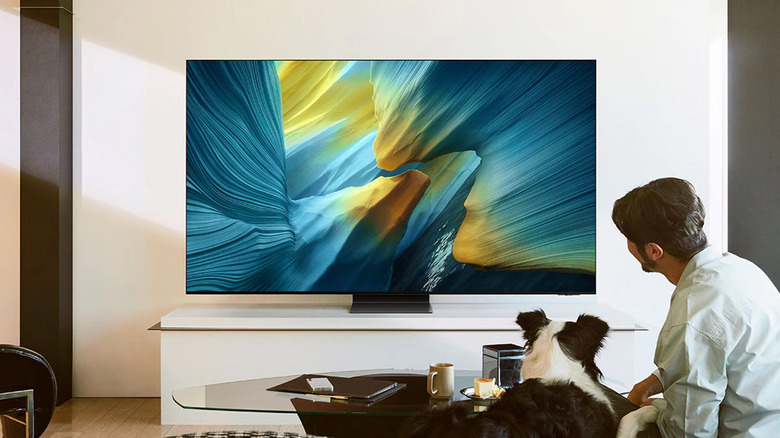 A Samsung OLED TV in a living with a man and a dog