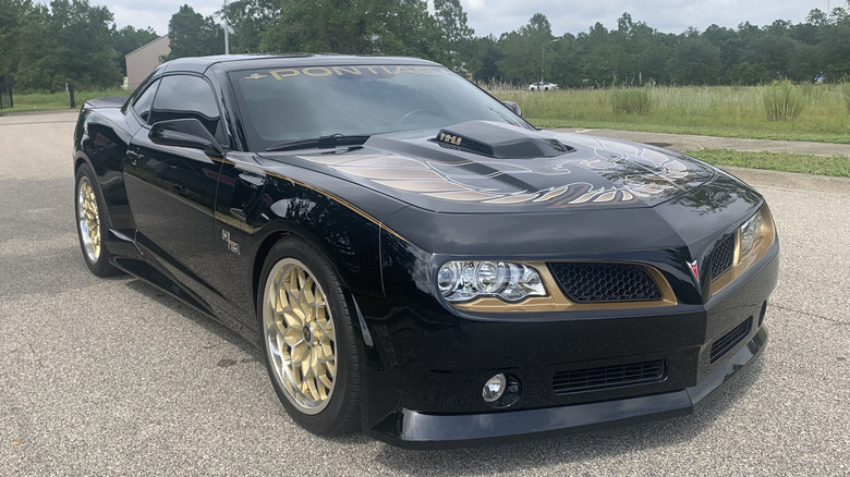 Trans Am Worldwide black on gold modern Trans Am