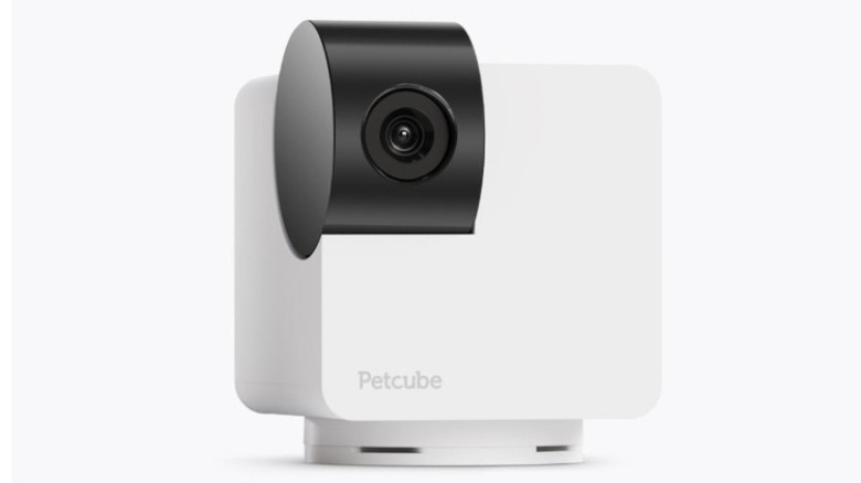White cube with a black camera lens featuring Petcube