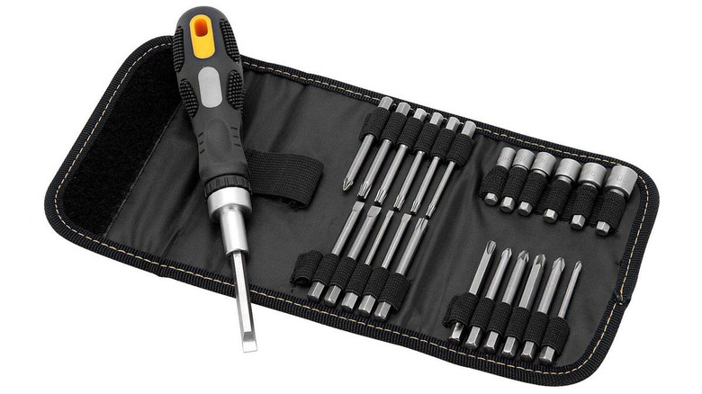 Screwdriver handle and several bits in a case