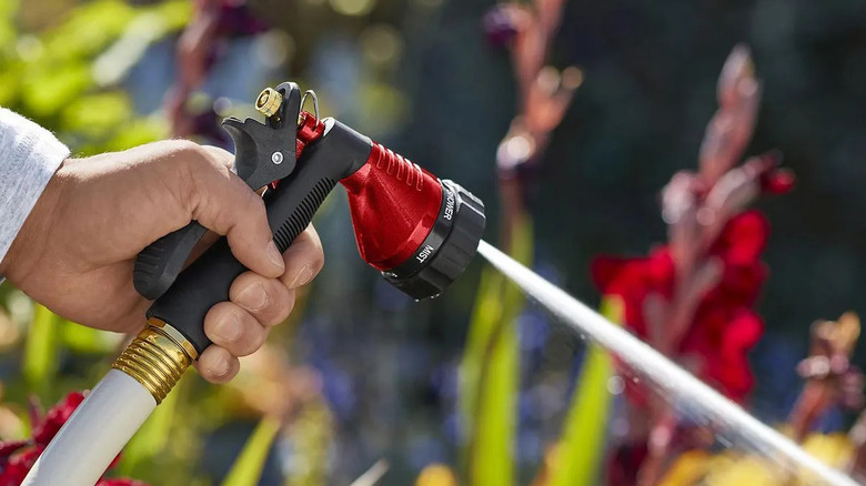 A person holding a Greenwood trigger spray nozzle with jet mode on