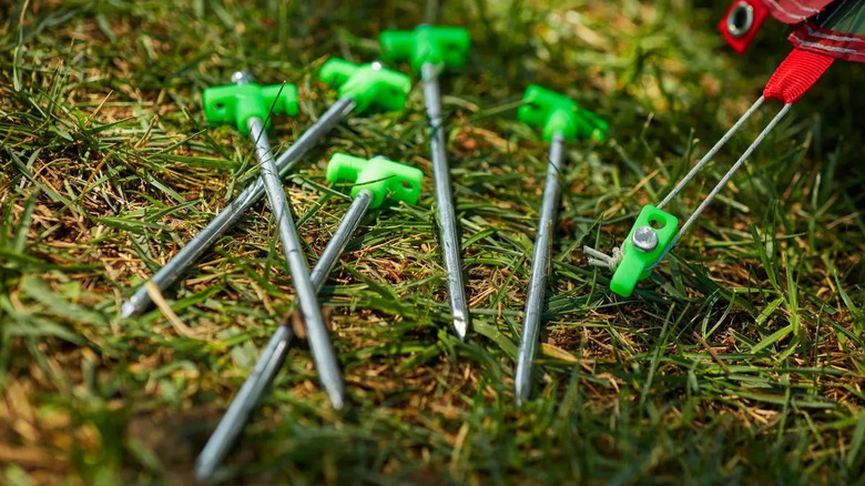 A handful of Harbor Freight tent stakes laying in the grass