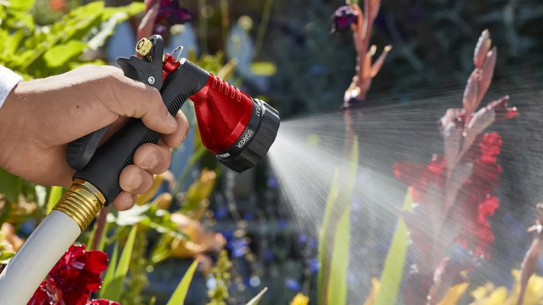 Greenwood trigger spray nozzle in action