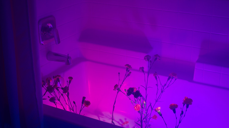 Bathtub glowing a light purple