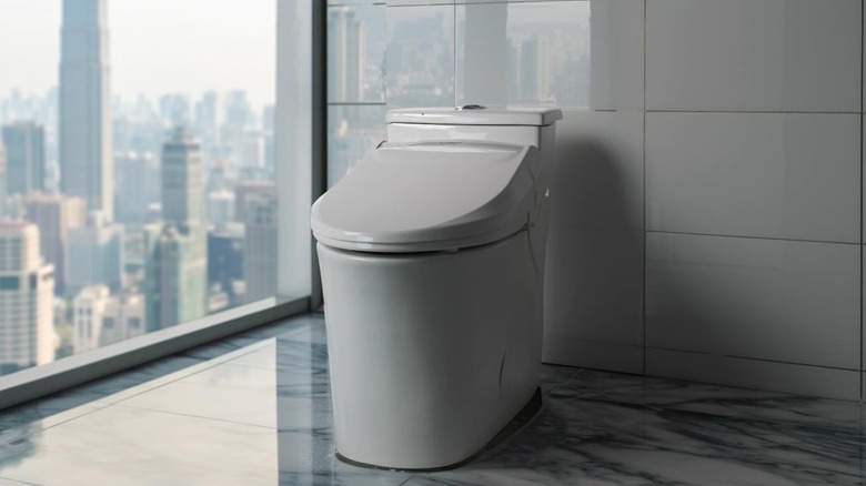Closed toilet next to a window with a view of a city skyline