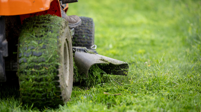 behind shot of a riding lawn mower