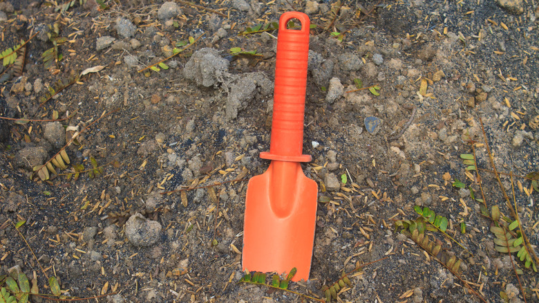 a plastic spade in the dirt