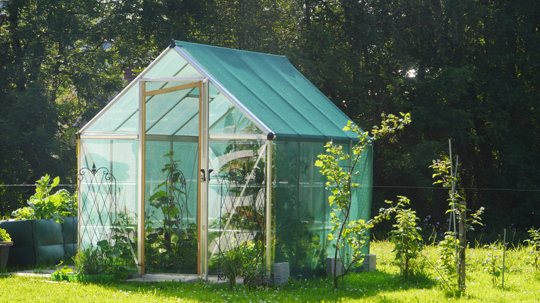 a greenhouse in a yard