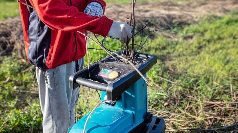 putting branches into a mulcher
