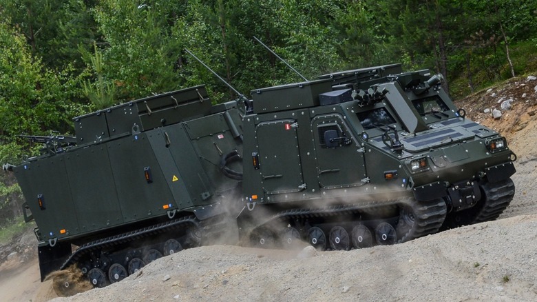 bvs 10 viking hill