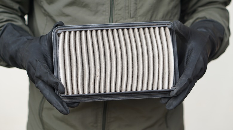 Person holding car air filter