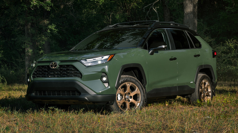 Toyota RAV4 Hybrid in the woods