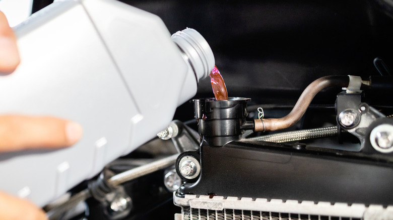 Mechanic filling the cooling tank of a motorcycle