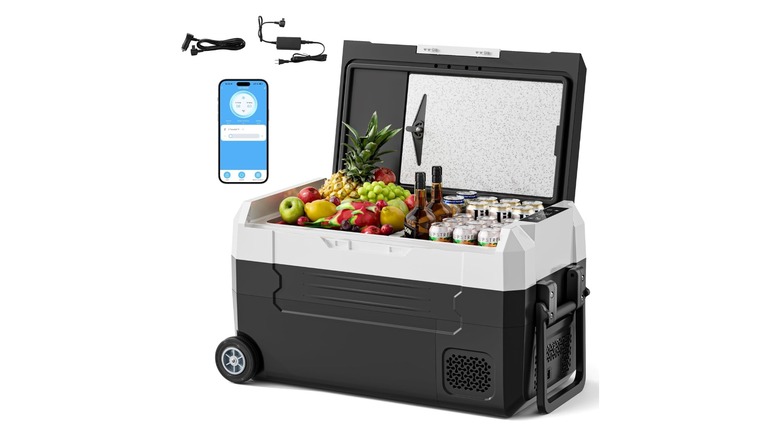 Stock photo of a cooler with the lid open showing beverages and fruit
