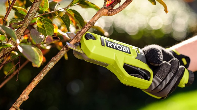 cutting branches with pruning shears
