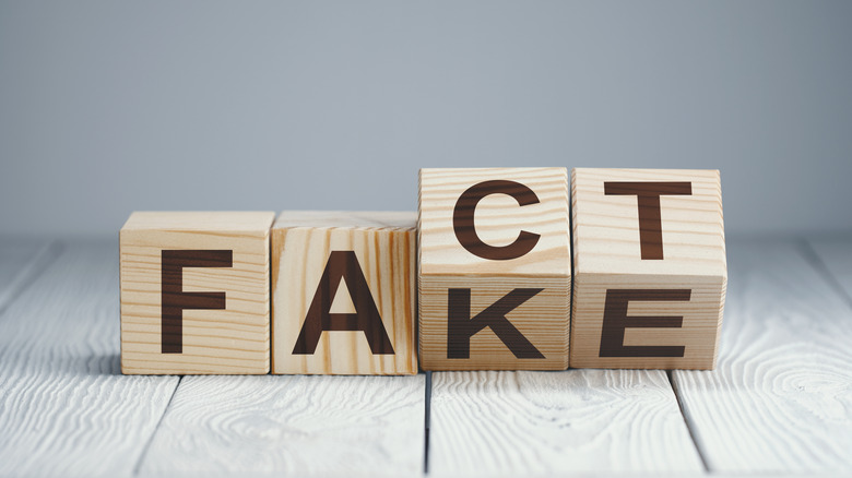 Toy blocks spell out the words fake and fact